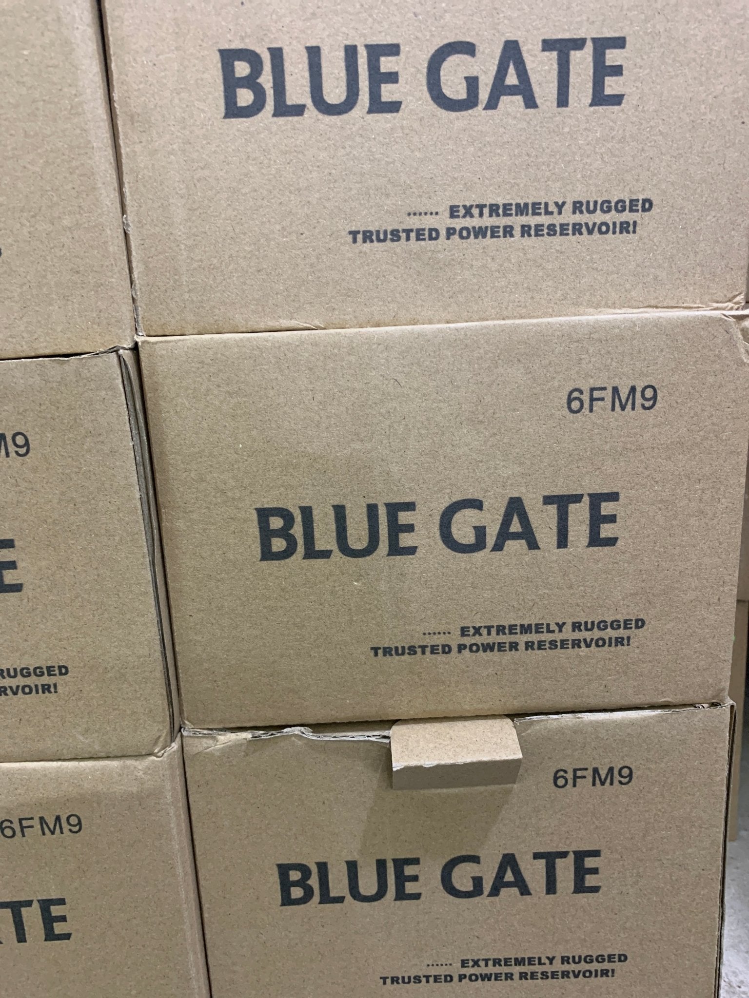 Bluegate UPS Battery 12v/ 9A - Joche