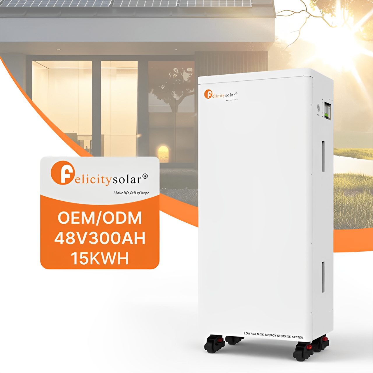 Felicity Lithium Batteries - Joche