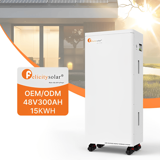 Felicity Lithium Batteries - Joche