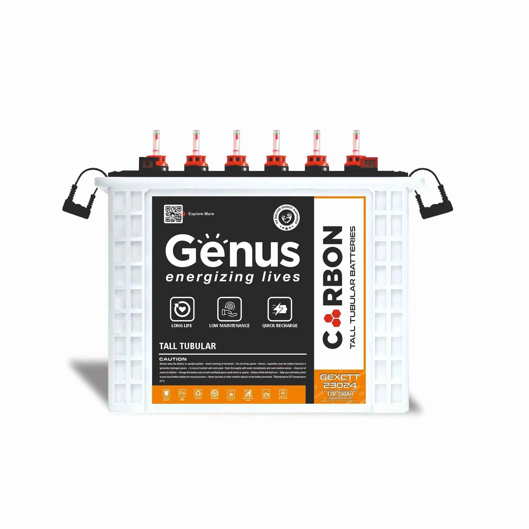 Genus Carbon Deep Cycle Battery - Joche