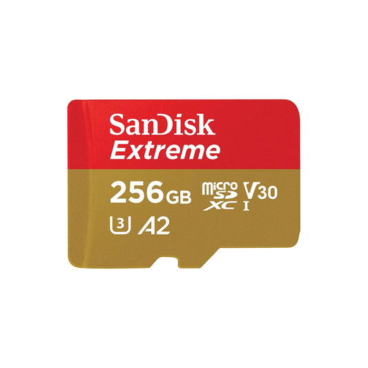 SanDisk microSD Card