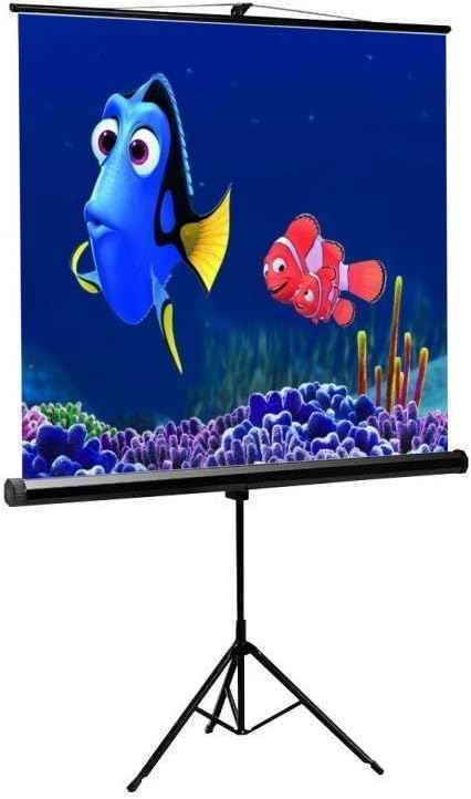 Tripod Projector Screen 96"x96"